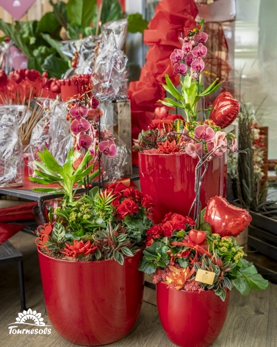 Compositions de Saint Valentin en pots rouges avec roses, orchidées et cœurs décoratifs